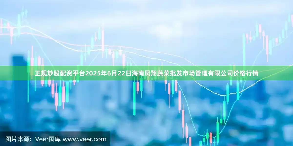 正规炒股配资平台2025年6月22日海南凤翔蔬菜批发市场管理有限公司价格行情
